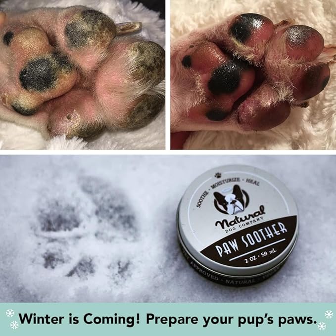 Natural Dog Company Paw Soother Balm & Wax - Dog Paw Balm & Moisturizer for Dry, Cracked Paw Pads, Helps Moisturize & Condition Winter-Worn Paws, Coconut Oil & Calendula, Daily Paws Care, 4 oz Tin