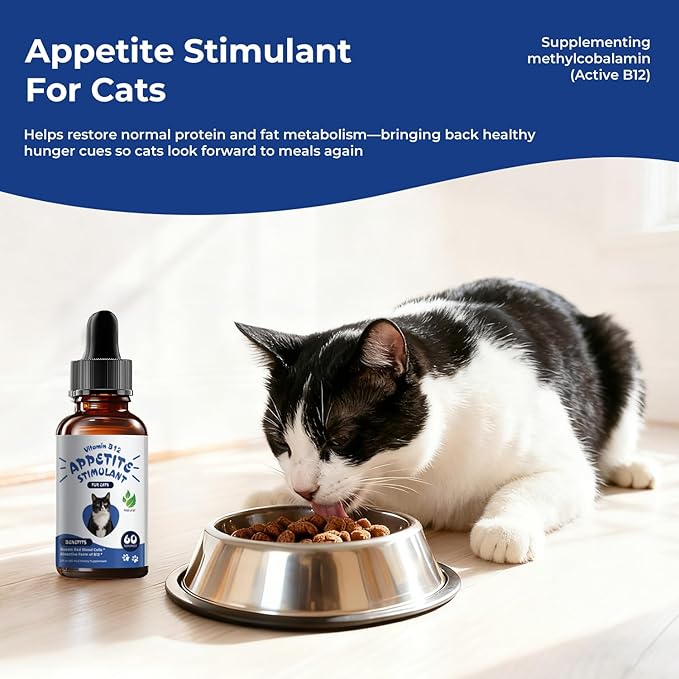 Appetite Stimulant for Cats – Liquid Vitamin B12 Drops, Methylcobalamin(Methyl B12) Cat Supplement, Boosts Appetite, Energy, Mood, Recovery - 2 fl oz (60ml)