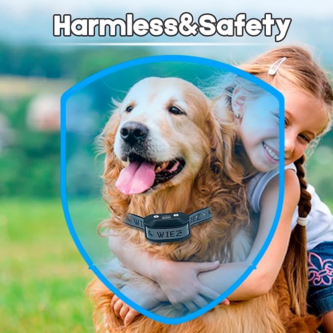 WIEZ GPS Wireless Dog Fence, Electric Dog Fence for Outdoor, Range 65-3281ft, Adjustable Warning Strength, Rechargeable Pet Containment System Suitable for Most Dogs(2 Collars)