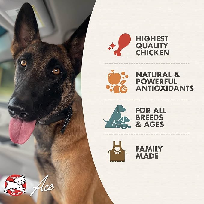 Fromm Diner Classics Paula's Chicken & Pumpkin Pate Dog Food - Premium Wet Dog Food - Chicken Recipe - Case of 12 Cans