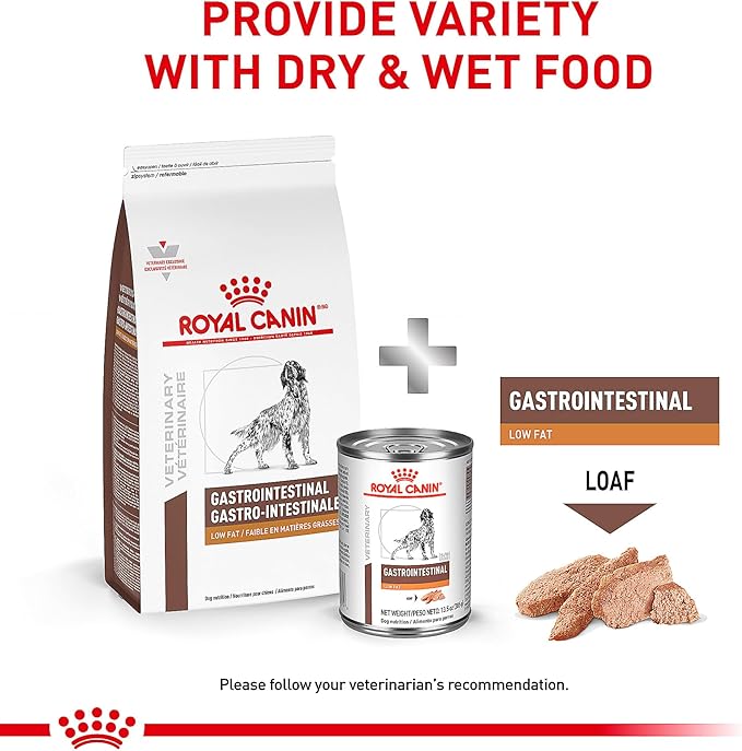 Royal Canin Veterinary Diet Canine Gastrointestinal Low Fat Adult Loaf Dog Food, 13.5 oz (Pack of 6)