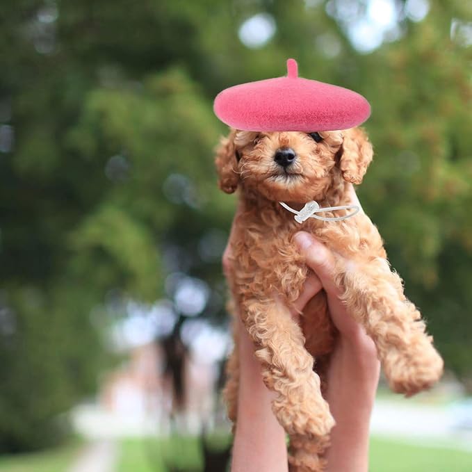 UPKOCH Pet Beret Hat for Dogs and Cats, Small Rose Party Headwear, Cute Puppy and Kitten Photo Costume Accessory for Pet Supplies