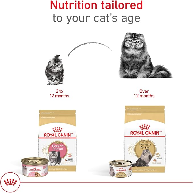 Royal Canin Feline Breed Nutrition Persian Adult Loaf in Sauce Cat Food, 3 oz (Pack of 24)