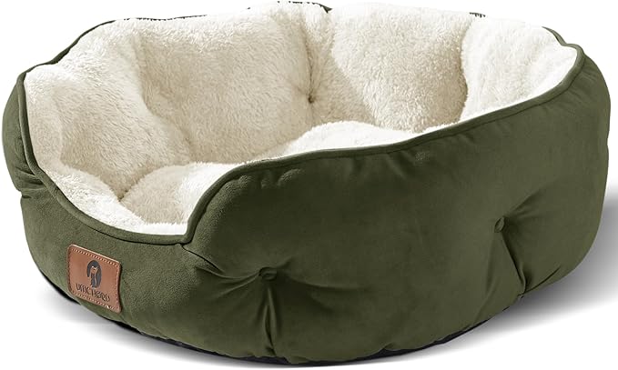 Asvin Medium Dog Bed for Medium Dogs, Large Cat Beds for Indoor Cats, Pet Bed for Puppy and Kitty, Extra Soft & Machine Washable with Anti-Slip & Water-Resistant Oxford Bottom, Green, 25 inches