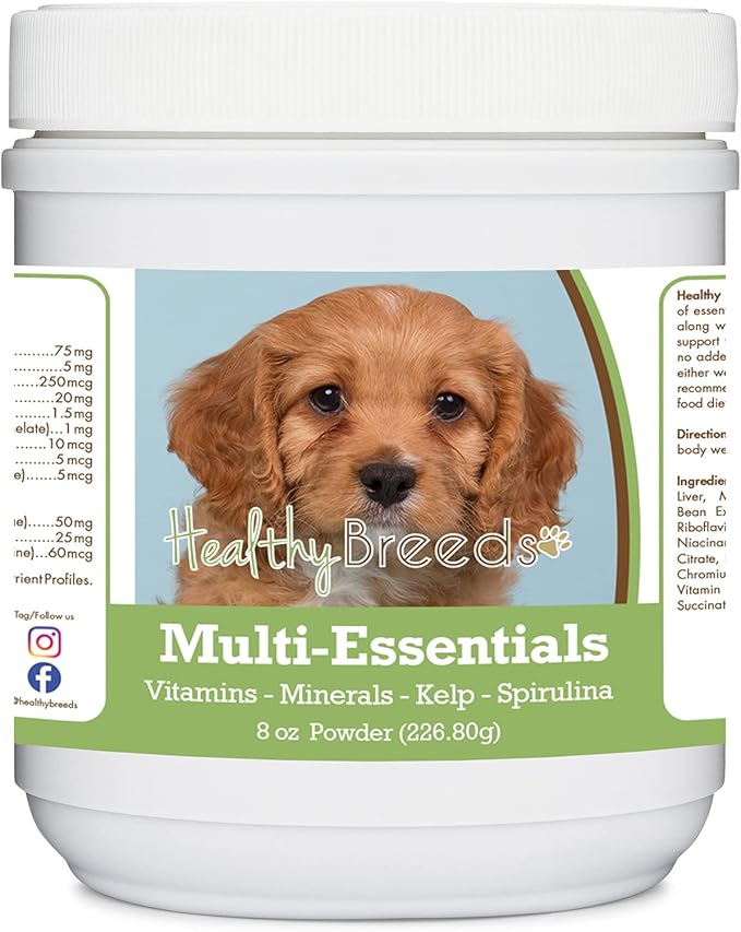 Healthy Breeds Cavapoo Multi-Essentials Powder for Dogs - an Ideal Supplement of Vitamins, Minerals & Antioxidants for Your Dog - 8 oz