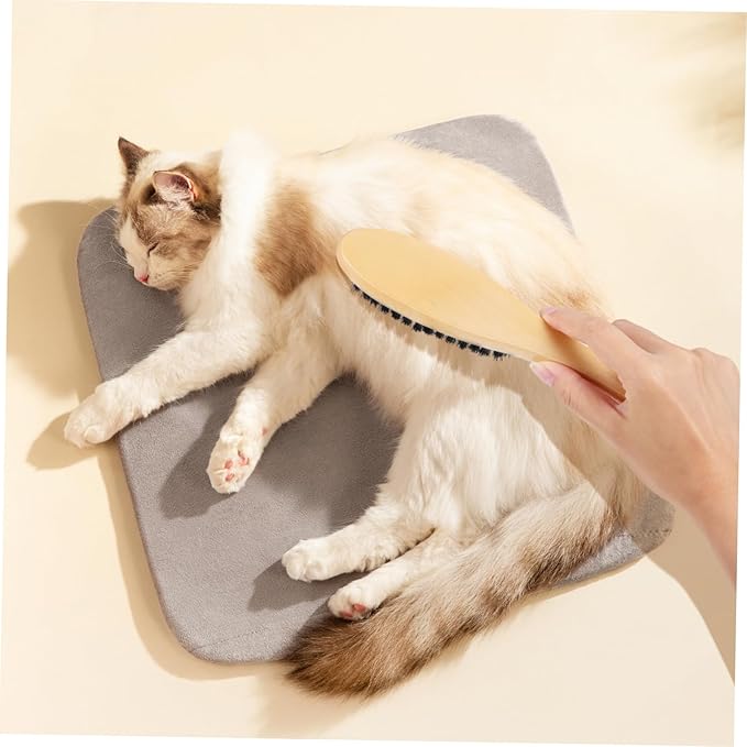 Cat Grooming Brush Boar Bristles Shoe Garment Brush Wood Handle Lint Remover Efficient