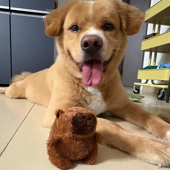 Dog Plush Toy with Squeak , Funny Capybara Stuffing Plush Dogs Chew Toy Bundle for Small Medium Large Dogs, Durable Chew Toy, Good for Dental Health Keep, Them Busy Best Birthday Gift (Capybara)