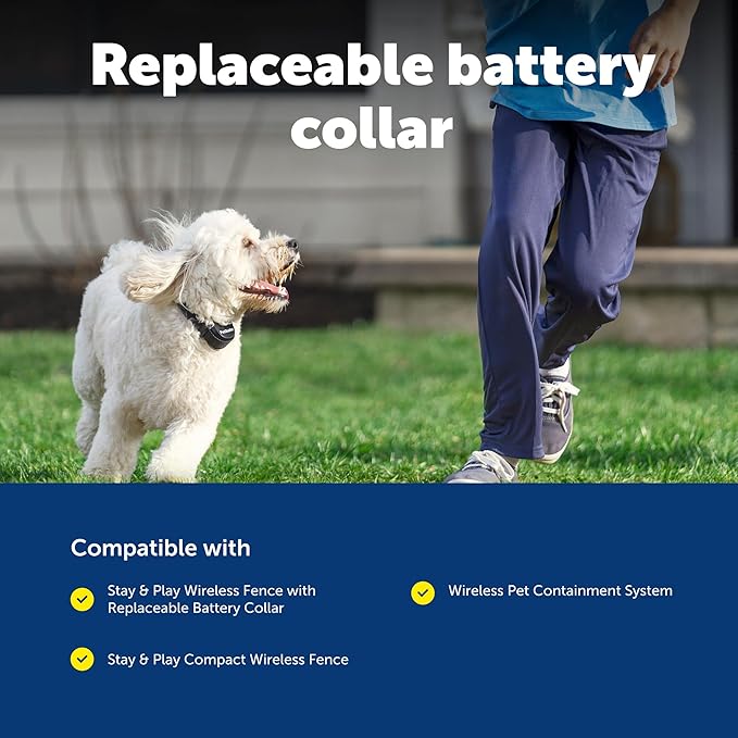 PetSafe Stay & Play Wireless Fence Replaceable Battery Receiver Collar - Waterproof & Battery-Operated Adjustable Static Correction Collar - for Dogs 5lb+