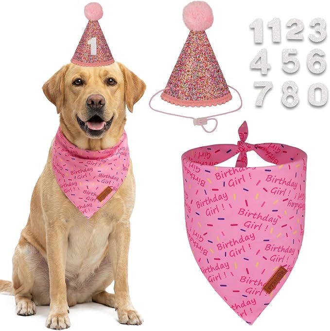 PTDECOR Dog Birthday Party Supplies, Pink Birthday Girl Bandana, Glitter Dog Birthday Hat with Numbers for Medium Large Dogs Pets (Large)