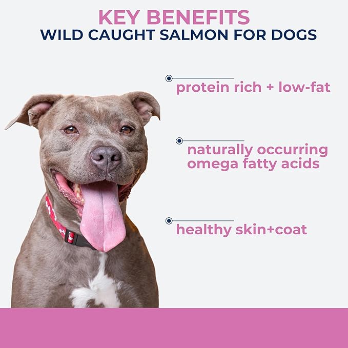 Momentum Carnivore Nutrition Freeze-Dried Wild-Caught Salmon Dog Treats & Cat Treats – Single-Ingredient, High-Protein, Grain-Free, Natural Source of Omega-3s – Made in USA – 3 oz Bag