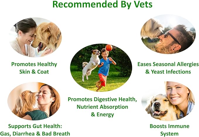 TummyWorks Probiotics for Dogs. 120 Probiotic Soft Chews for Digestive Health, Gut, Immunity, Energy, Allergies, Skin & Coat. 10 Strains, 5 Billion CFUs with 6 Enzymes. Made in USA