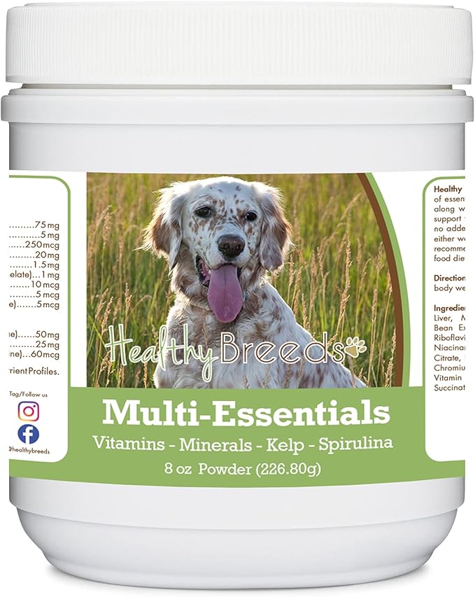 Healthy Breeds English Setter Multi-Essentials Powder for Dogs - an Ideal Supplement of Vitamins, Minerals & Antioxidants for Your Dog - 8 oz