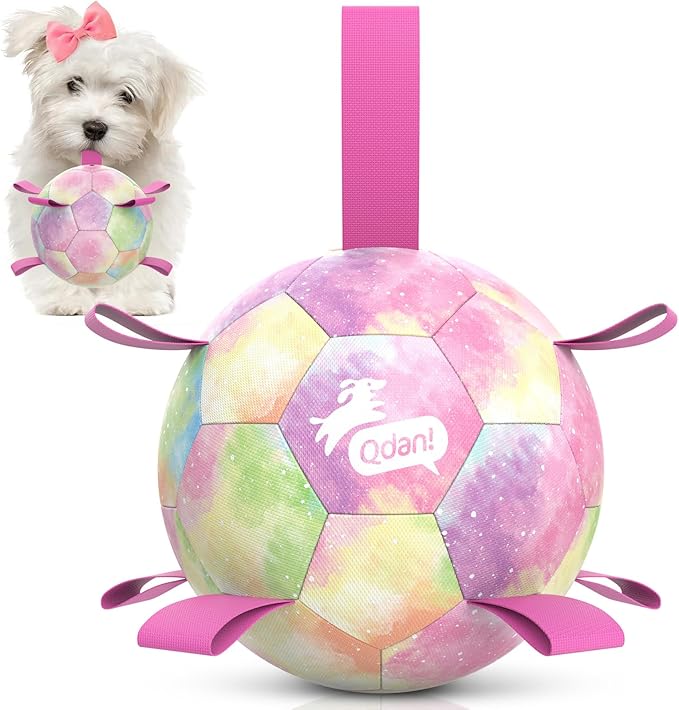 QDAN Dog Balls, Dog Soccer Ball with Straps, Valentines Dog Toys, Girl Puppy Toy Balls for Small Medium Dogs, Water Toys Pool Toys, Puppy Pet Birthday Gifts, Rainbow（6 Inch）