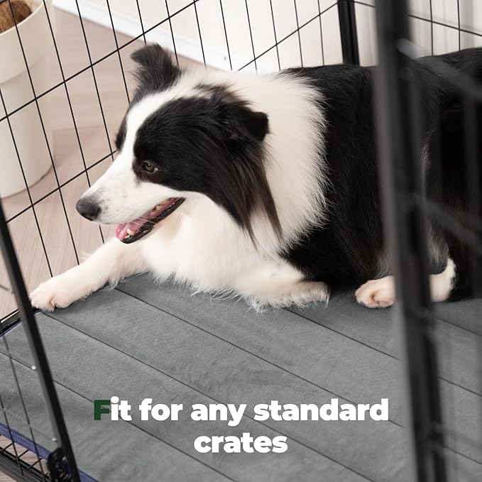 BALANCE Dog Crate Pad, Dog Foam Crate Mat Kennel Pad, Washable Water-Resistant Pet Bed Flat Dogs Cage Mat for Medium Dogs, 2 Packs