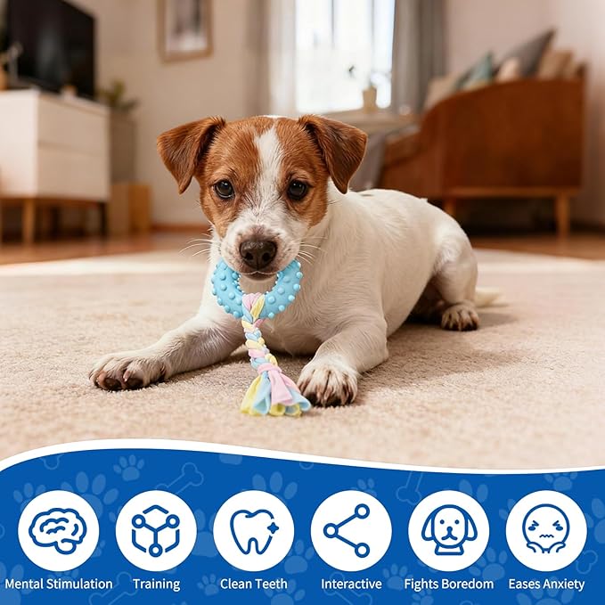 Puppy Play Gym with 8 Hanging Toys, Indoor Jungle Gym Toys for Small Dogs with PVC Frame, Interactive Puppy Toy with Bungee Straps for Entertainment Funny Teething and Mental