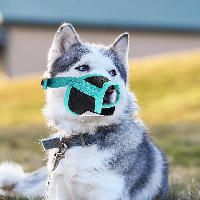 Adjustable Anti-bite Dog Muzzle Cotton Dog Mouth Cover for Outdoor Use Puppy Biting Deterrent Pet Supply (Green, L)