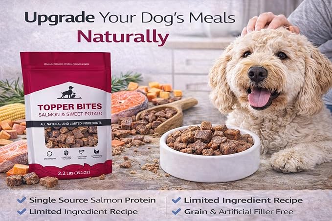 Salmon & Sweet Potato Dog Food Topper Bites, 2.2 lb (35.2 oz) – Single Protein, Grain Free, Limited Ingredient, Natural Dog Treats for Meal Toppers & Training