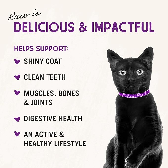 Stella & Chewy's Freeze-Dried Raw Cat Dinner Morsels - Premium Salmon & Chicken Recipe with 98% Wild-Caught & Cage-Free Protein - Natural Grain-Free Cat & Kitten Food - Made in USA - 1 oz (Pack of 2)