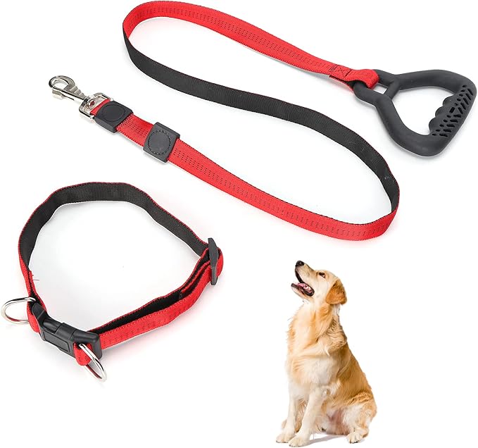 Heavy Duty Dog Leash Collar Set, Adjustable Nylon Leash with Soft PP Handle, Durable Rope Leash Collar for Small Medium Large Dogs, Pet Supply with Shock - Absorbing (Red)