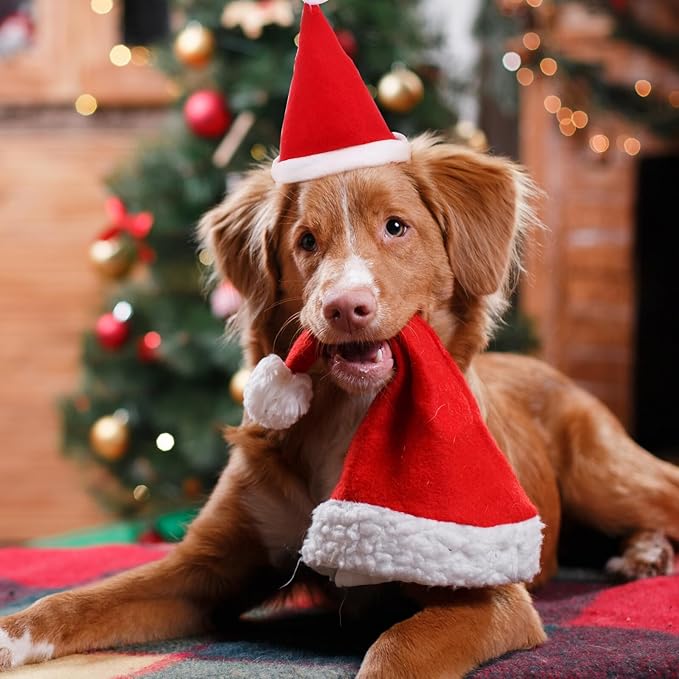 Amosfun Christmas Dog Scarf and Santa Hat Set, 2pcs Holiday Pet Costume Accessories, Soft Festive Pet Collar and Cap for Dogs and Cats, for Christmas Party Supplies