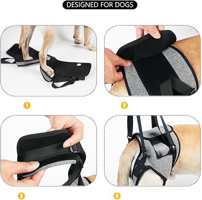 Dog for Large Dogs Back Lift Harness for Injured Elderly Dogs Disabled Pet Supplies for Back Legs Accessories
