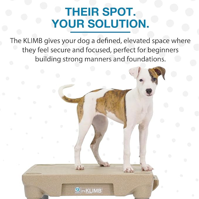 Blue-9 Happy Dog Starter Bundle with KLIMB Dog Training Platform & Traction Mat and Inspire Training Treat Pouch & Training Treats, Tan