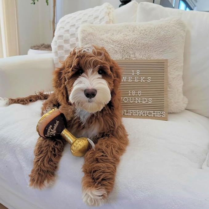 Haute Diggity Dog Espresso Muttini Plush Dog Toy for Small, Medium & Large Dogs, Interactive Funny Parody Squeaky Toys, Soft, Durable, Machine-Washable, Safe & Cute Birthday Gift for Dogs, One Size