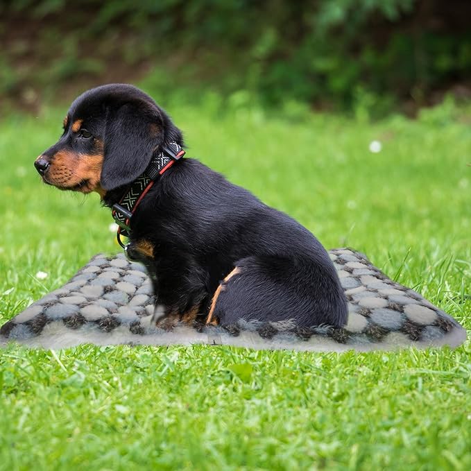 2pcs Blue Polka Dot Pet Sleeping Mats, Fluffy Dog Blanket and Comfortable Crate Mat, Warm Sofa Cushion Pad for Dogs and Cats, Indoor Winter Pet Bed Supplies