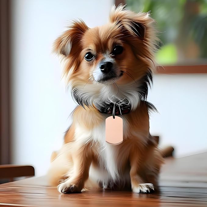 BESTonZON 10pcs Rose Gold Metal Dog Id Tags Blank Engravable Pet Charms Round Stamping Tags for Puppy Collar Accessories DIY Jewelry Supplies