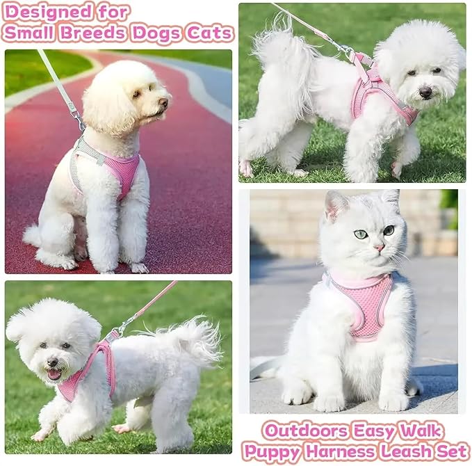 Escape Proof Dog Harness and Leash Set for Small Dogs Cats Puppy Harness Vest Reflective Kitten Walking Lead Leash Pet Supplies XL 6-11 Kg/Blue