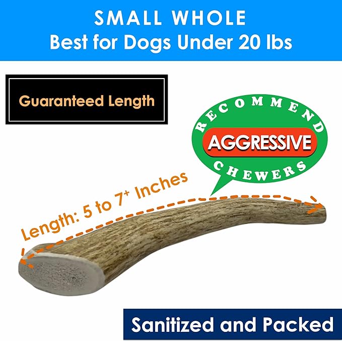 5-Pack Small Whole Elk Antler Dog Chews, 5-7+ Inches, Long-Lasting Natural Dog Chews for Aggressive Chewers, Teeth Cleaning Antler Treats for Small Dogs Under 20 lbs