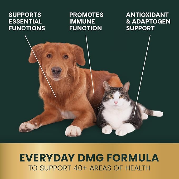 VetriScience Immunity Health Easy-Dose Liquid, Vetri DMG Immune Support Supplement for Dogs and Cats, Hypoallergenic, Support Performance, Stamina, Immune Response, DMG (Dimethylglycine), 114 ml