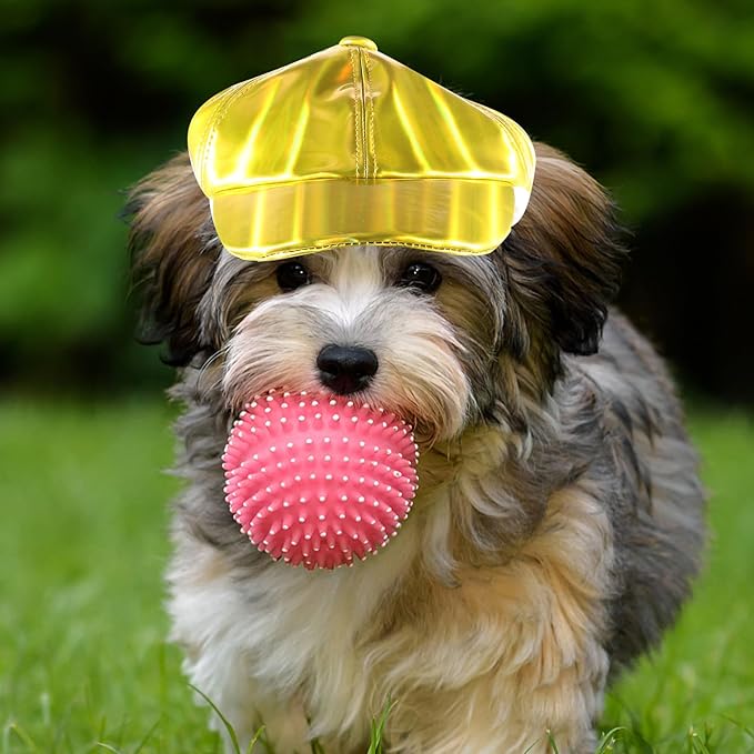 NUOBESTY Dog Baseball Cap Wear-Resistant Large Size Puppy Hat Outdoor Pet Hat Cute Dog Supplies Accessory