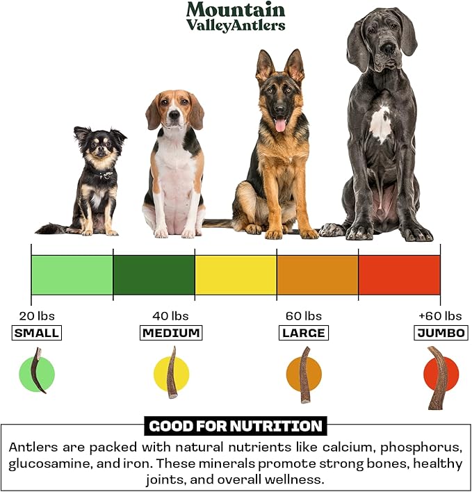 Mountain Valley Elk Antlers for Dogs - 100% Natural & Organic Chew for Aggressive Chewers, No Odor, No Mess, Long Lasting - Wild-Foraged Naturally Shed Antlers in USA - Grade A, Split Small (3 Pack)