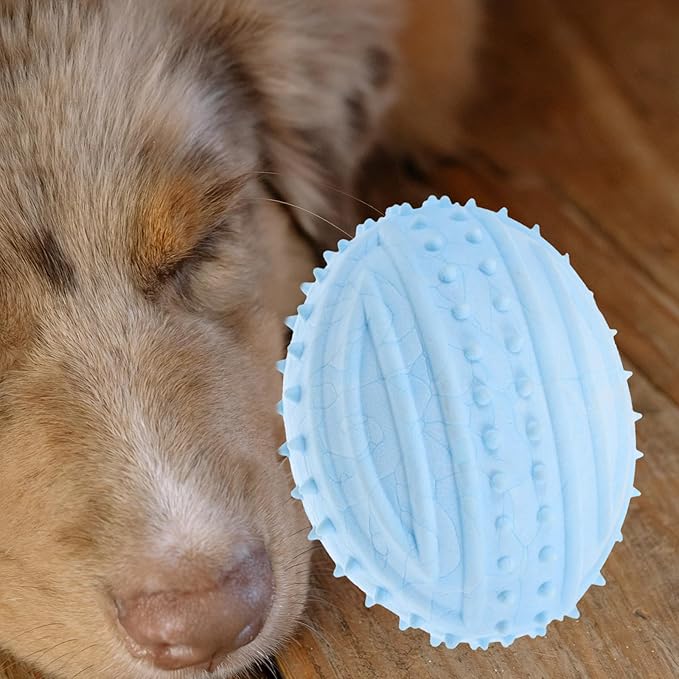 Amosfun Small Dog Squeaky Rubber Ball Chew Interactive Blue Ball for Puppies Pet Supplies