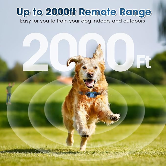 Small No Shock Dog Training Collar for Small Dogs 5-15lbs, Strong Vibrating Dog Collar Beep and Vibrate Only, Safe Lock Waterproof Rechargeable Vibration Collars for Dogs-No Prongs,Blue