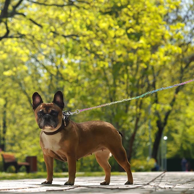 Sturdy Wear-Resistant Metal Chain Dog Leash 3.0mm Sturdy Portable Puppy Walking Leash for Outdoor Pet Supplies