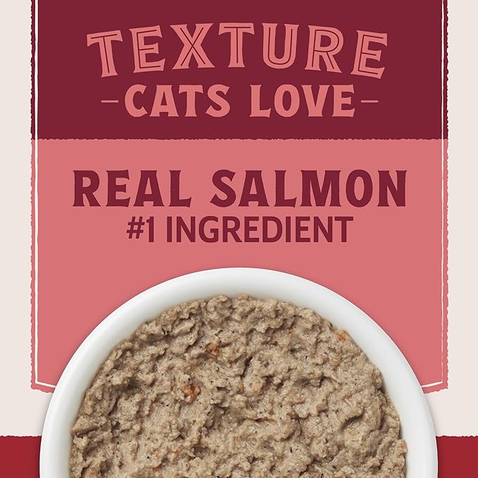 Natural Balance Ultra Protein Wet Cat Food Pate, Real Salmon Recipe with Protein-Rich Organs for Cats, Pate Cat Food with High Protein - 2.8 oz. (Pack of 24)