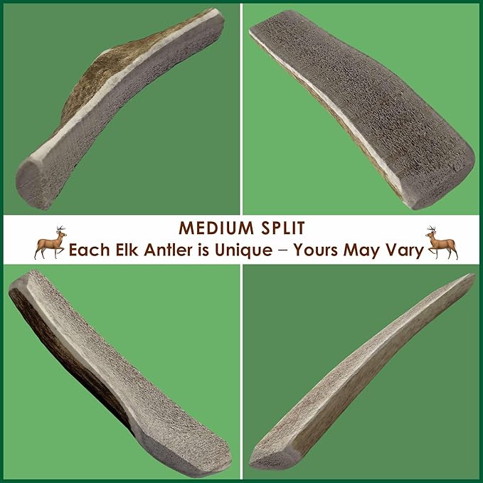 5-Pack Medium Split Elk Antler Dog Chews (5.5 to 7+ in) – All Natural, Premium Grade A, Odor-Free, USA-Sourced – Long-Lasting Dental Treats for Small Dogs Under 35 lbs