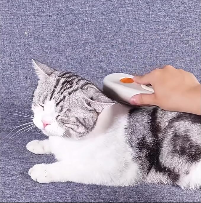 Easy Self-Cleaning Pet Steam Brush with 360° Rotating Arm for Long and Short Hair Cats and Dogs Grooming Supplies Steam Brush for Shedding (One Size, 3, Count)