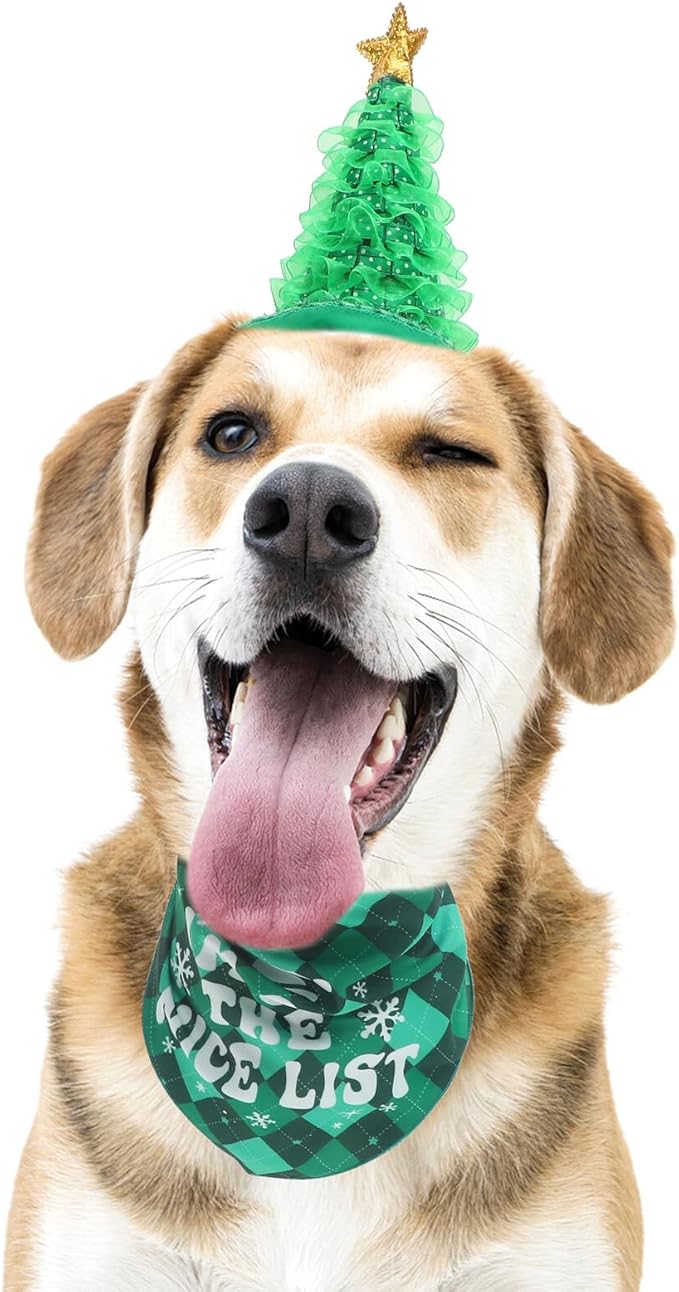 Pet Christmas Hat and Holiday Bandana Set, Adjustable Soft Green Checkered Fabric, 2pcs Festive Dog Costume for Christmas Party and Seasonal Pet Supplies