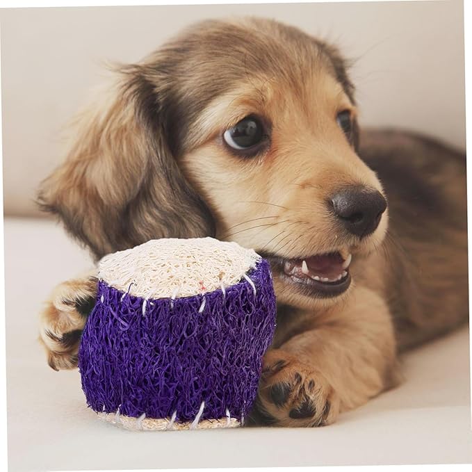 PRETYZOOM 2pcs Dog Chew Tennis Balls Interactive Puppy Chew Pet Training Supplies for Dogs Random Color