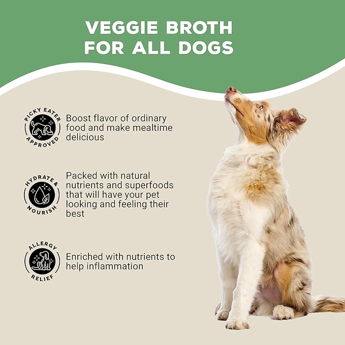 Brutus Broth Dog Food Topper - Vegetable Instant Broth Powder for Adult Dogs’ Skin & Coat - Made with Natural Ingredients - Serve Dry or Wet - Vegetable Flavor - 3.5 oz Pack (Makes 130 oz with Water)