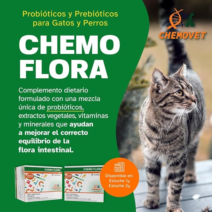 Chemo Flora Probiotic and Prebiotic Supplement for Dogs and Cats, Digestive Health Support, Palatable Tablets, 1g, 30 Count