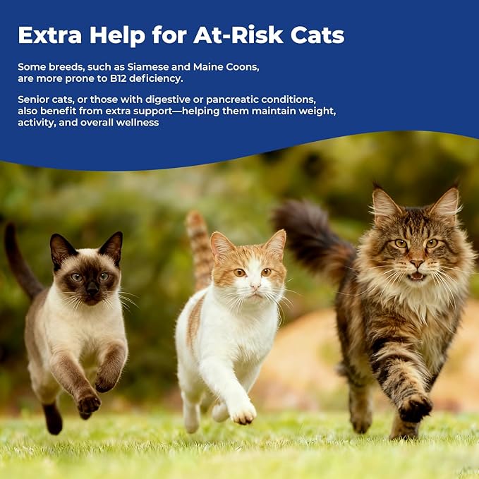 Appetite Stimulant for Cats – Liquid Vitamin B12 Drops, Methylcobalamin(Methyl B12) Cat Supplement, Boosts Appetite, Energy, Mood, Recovery - 2 fl oz (60ml)