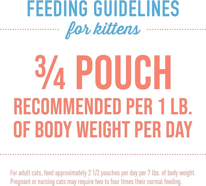 Tiki Cat Baby, Salmon & Chicken, Grain-Free and Nutrient Rich, Wet Cat Food for Kittens 4 Weeks+, 2.4 oz. Pouch (12 Count)