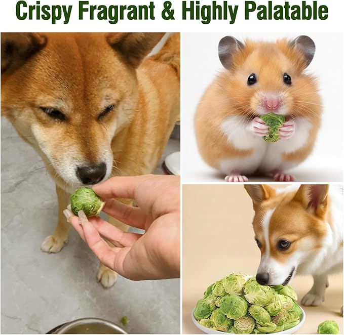 Natural Freeze-Dried Vegetable for Pets – Single Ingredient, Nutrient-Rich, Low-Calorie, Pure & Simple Digestive Crunchy Bites Snack for Dogs, Rabbits, Birds, Turtles & Guinea Pigs