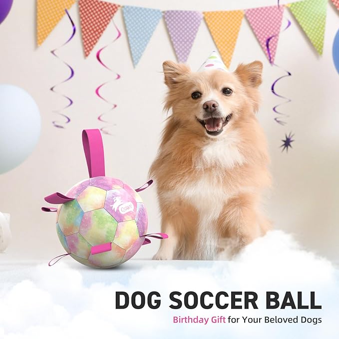 QDAN Dog Balls, Dog Soccer Ball with Straps, Valentines Dog Toys, Girl Puppy Toy Balls for Small Medium Dogs, Water Toys Pool Toys, Puppy Pet Birthday Gifts, Rainbow（6 Inch）