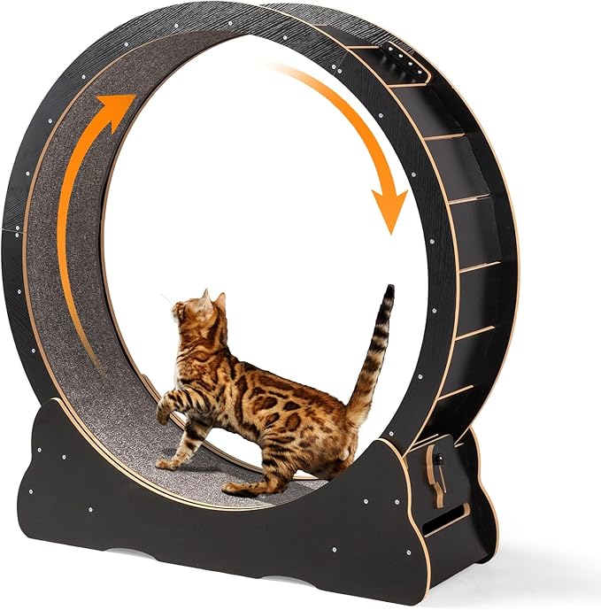 VINGLI Cat Wheel Exerciser for Indoor Cats, 39" Large Cat Exercise Wheel, Silent Kitten Running Wheel with Safety Lock, Black (Large-39.4 inch)