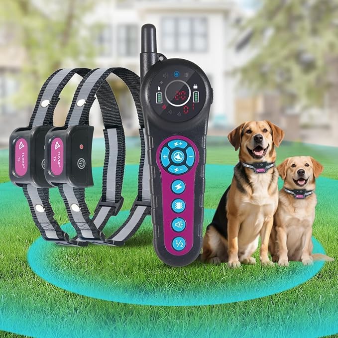 DOTSTAR Wireless Dog Fence Training Collar 2-in-1 Pet System, 5000ft Adjustable Control Range, Waterproof Rechargeable Training Collar, Pet Electric Containment System for Large Medium Dogs